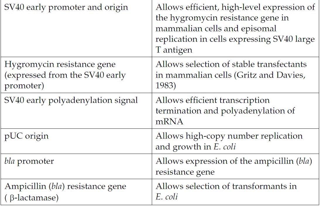 pcDNA5-TO 载体特征2